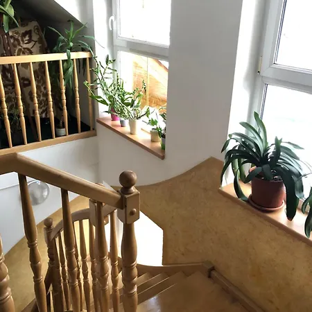 Natty - S Wellness Primo U Sjezdovky 3*